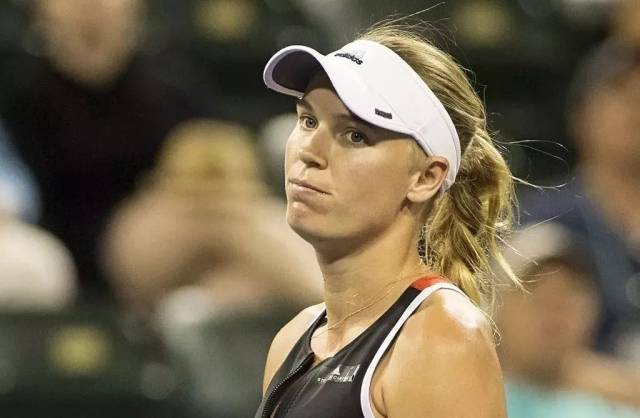 的胜率高居 的胜率高居